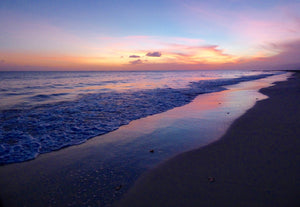 Seashore At Sunset Vinyl Art Print