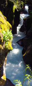 A Mountain Stream