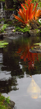 Load image into Gallery viewer, Koi Pond
