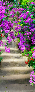Stairs In Bloom