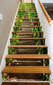 Stairway to Tranquility