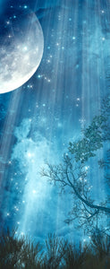 Star Fall