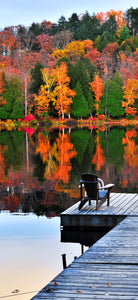 Lakeside Dreaming